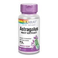 Astragalus Root Extract 200mg - 30 vcaps